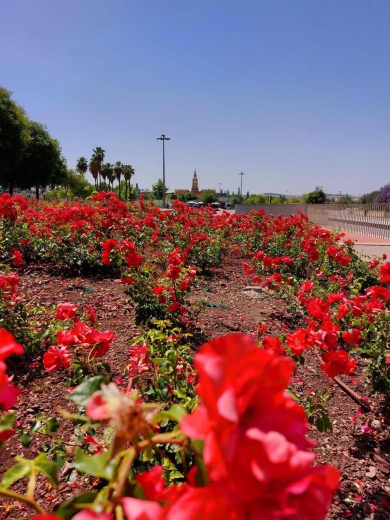 El Limonar De La Ribera Parking Disponible De Pago Daire Cordoba Dış mekan fotoğraf